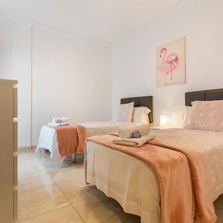 Rolycar 203 Apartamento Icod De Los Vinos