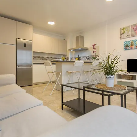 Rolycar 203 Apartamento Icod De Los Vinos